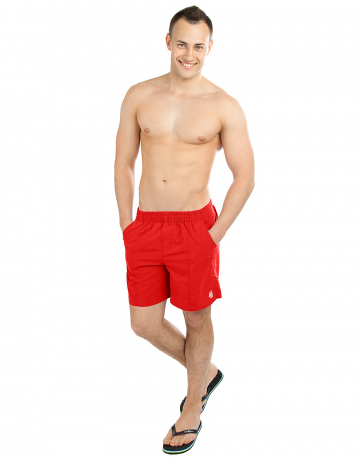 Мужские пляжные шорты Solids (10019145)