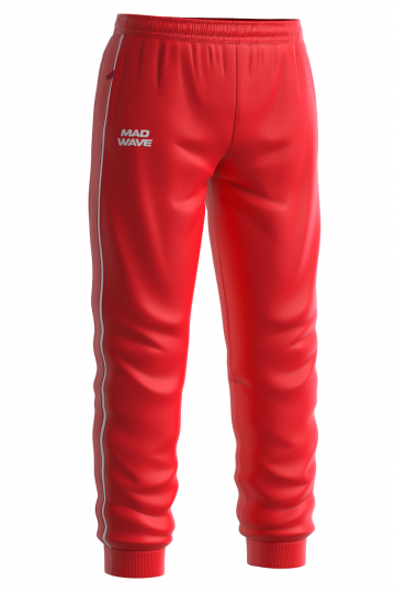 Мужские спортивные брюки Track pants Junior (10028946)